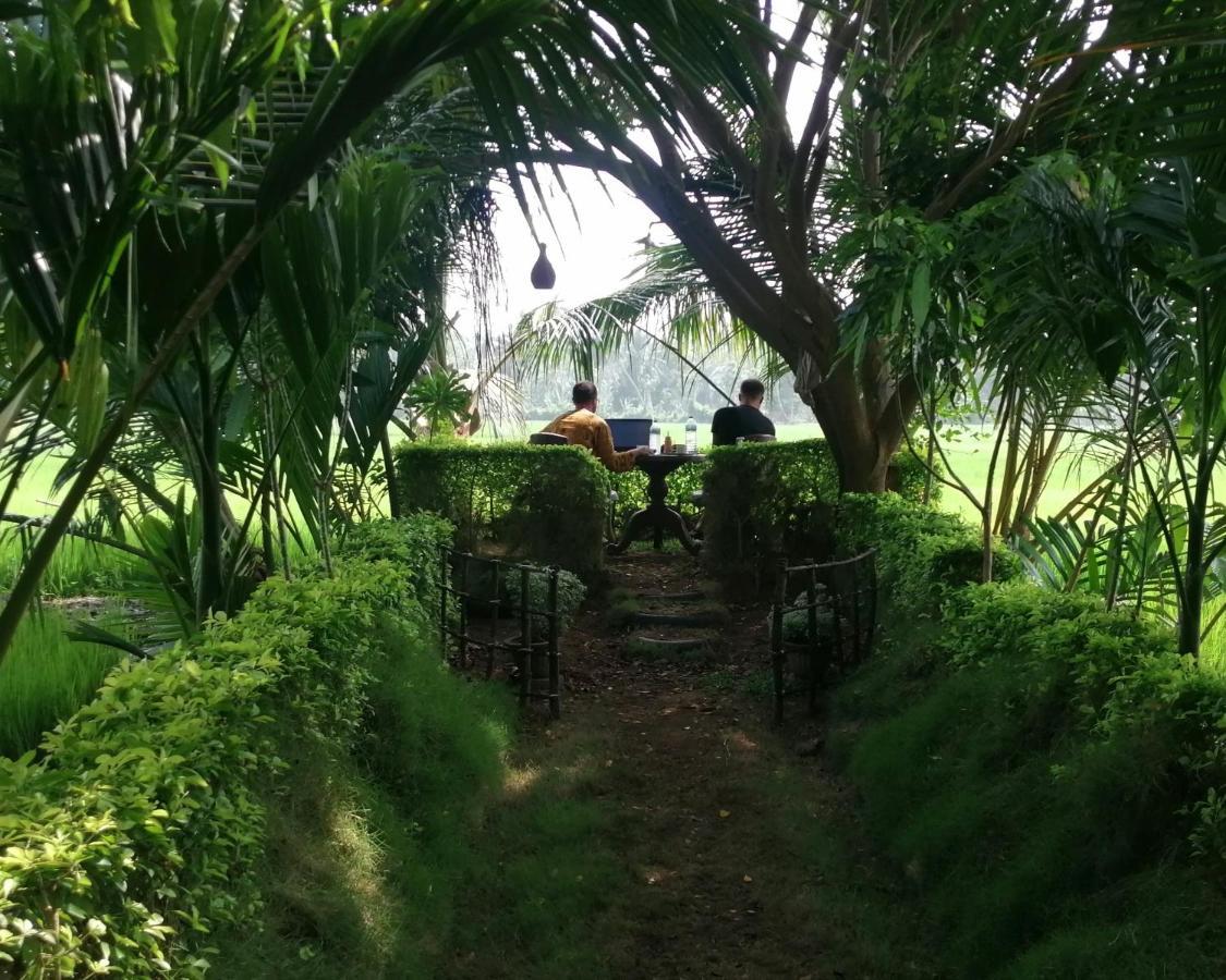 Viveka Inn Guest And Yala Safari Tissamaharama Ngoại thất bức ảnh