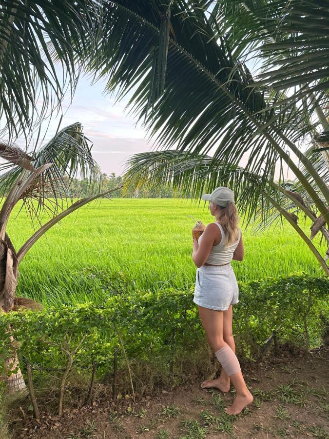 Viveka Inn Guest And Yala Safari Tissamaharama Ngoại thất bức ảnh