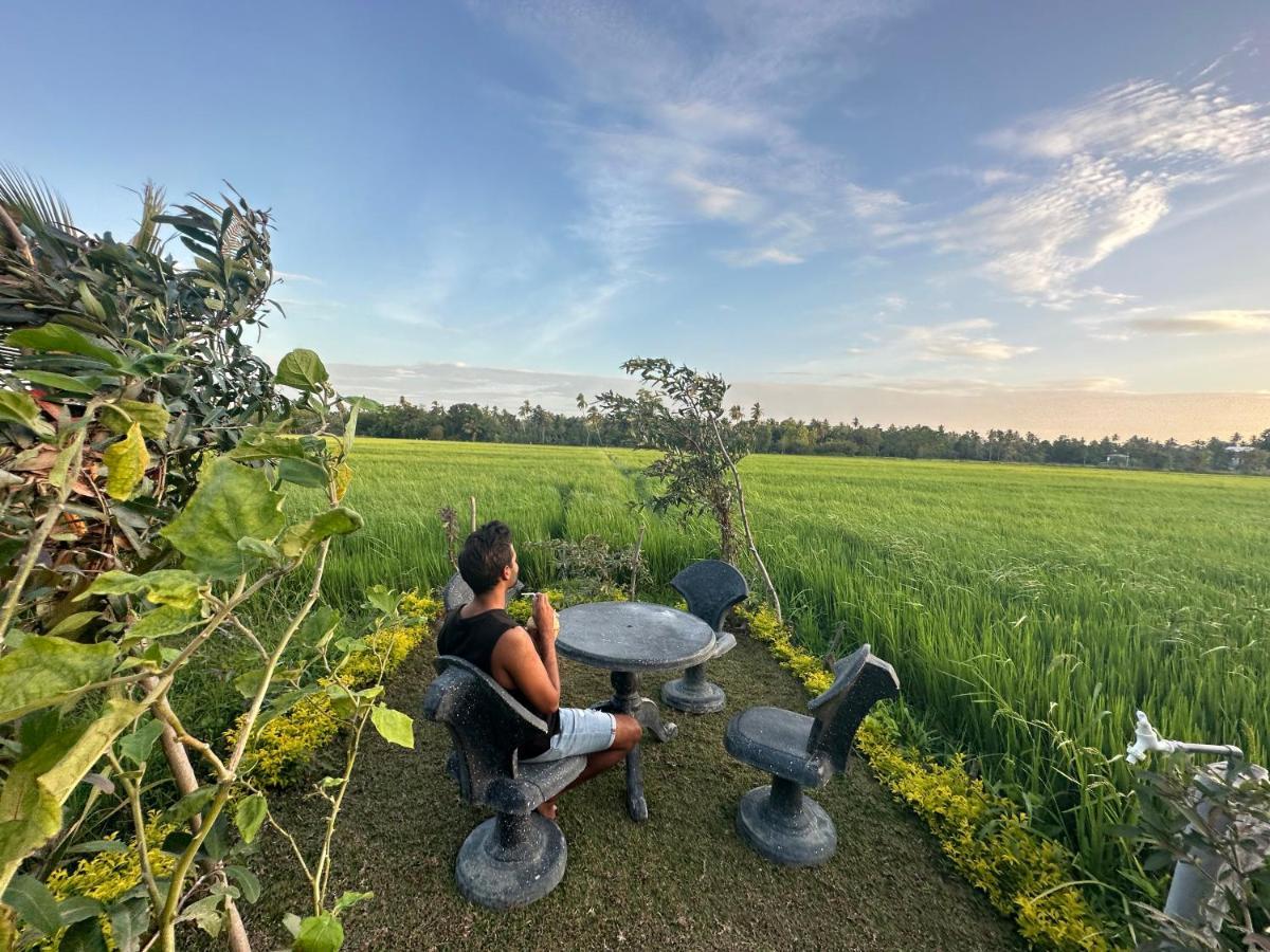Viveka Inn Guest And Yala Safari Tissamaharama Ngoại thất bức ảnh