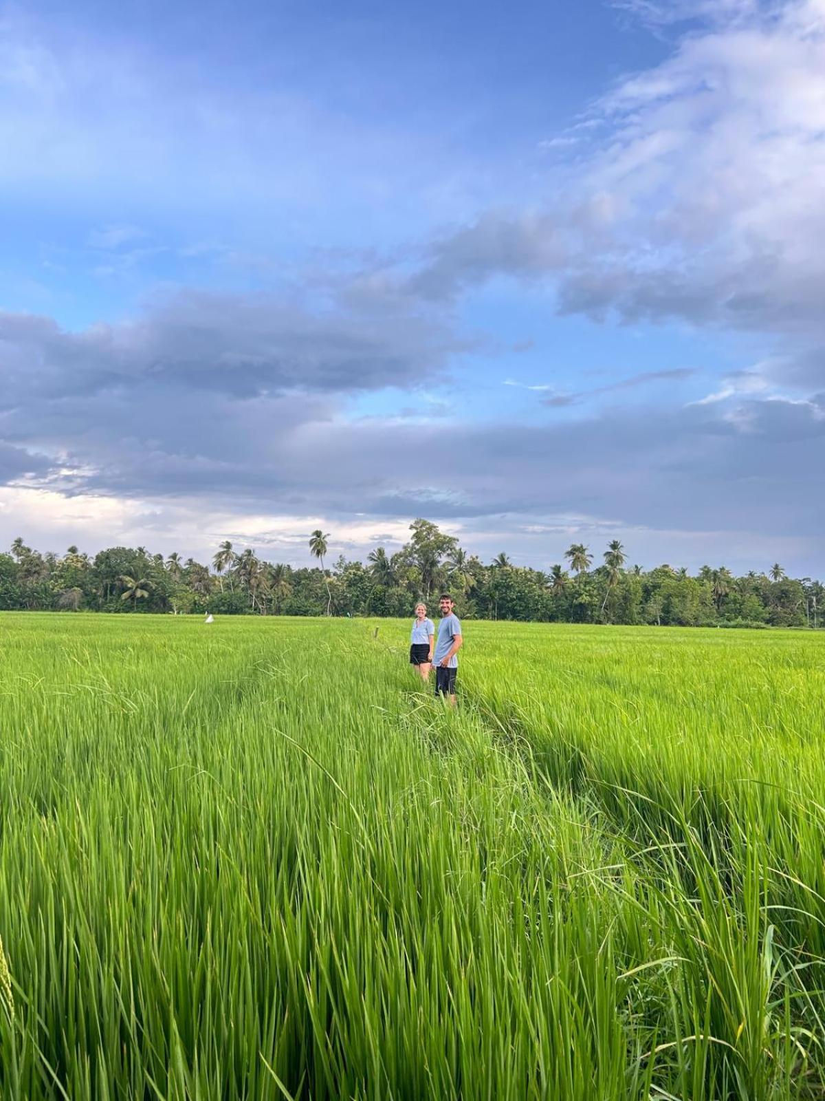 Viveka Inn Guest And Yala Safari Tissamaharama Ngoại thất bức ảnh