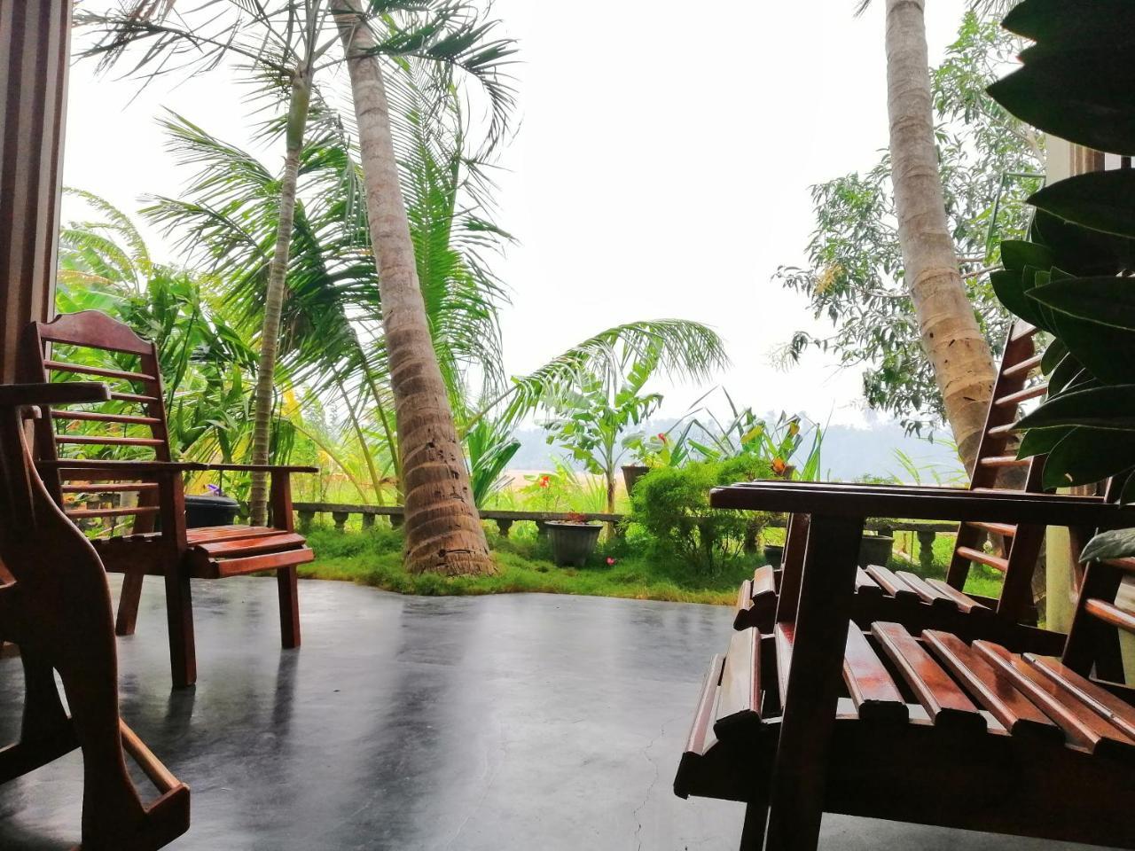 Viveka Inn Guest And Yala Safari Tissamaharama Ngoại thất bức ảnh