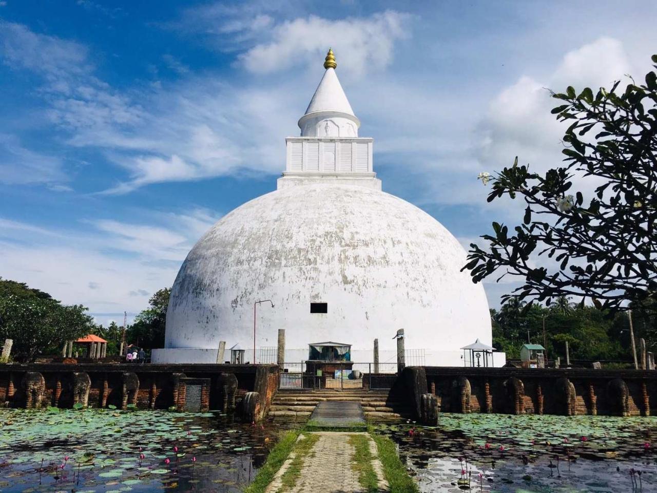 Viveka Inn Guest And Yala Safari Tissamaharama Ngoại thất bức ảnh