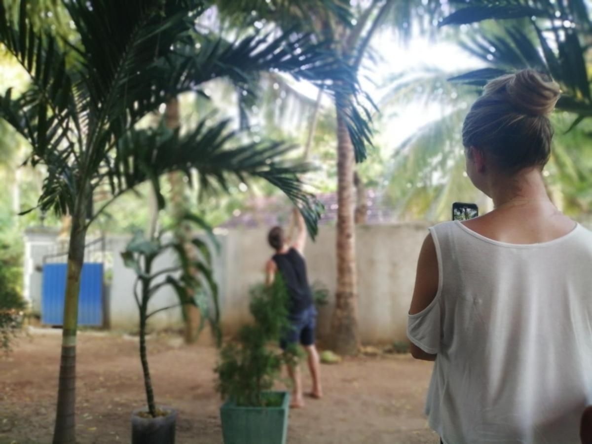 Viveka Inn Guest And Yala Safari Tissamaharama Ngoại thất bức ảnh